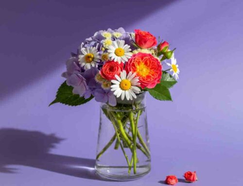 Summer Flowers Brighten Someone’s Day or Add Charm to your Home